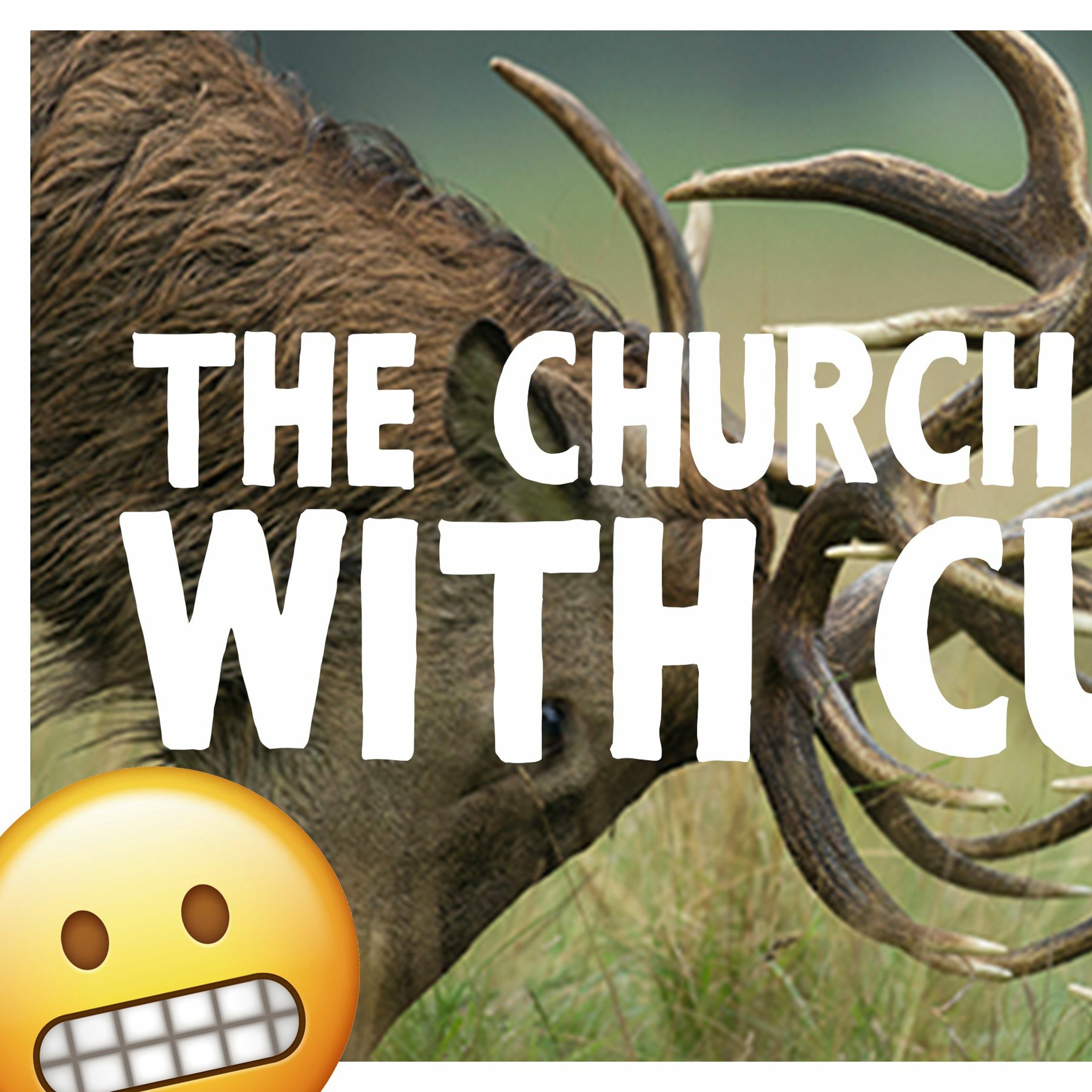 The Church At Odds With Culture episode artwork
